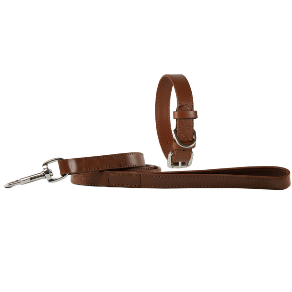 Eco Friendly Leather Dog Collar & Lead Set, Brown