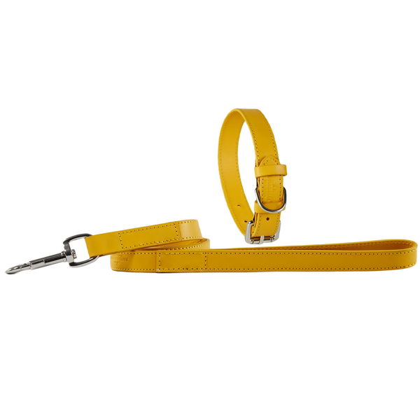 Eco Friendly Leather Dog Collar & Lead Set, Lemon
