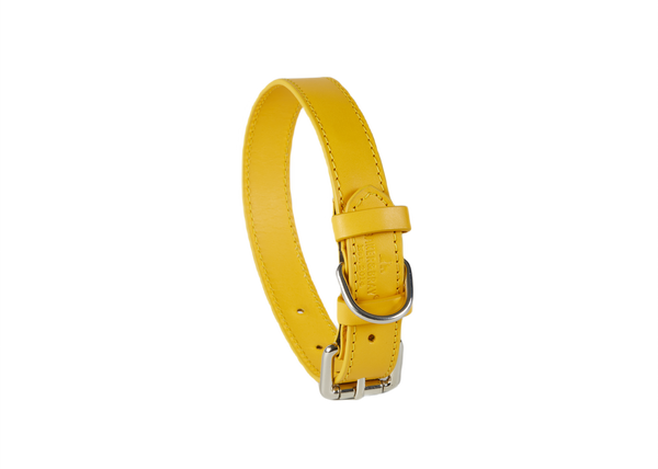 Eco Friendly Leather Dog Collar, Lemon