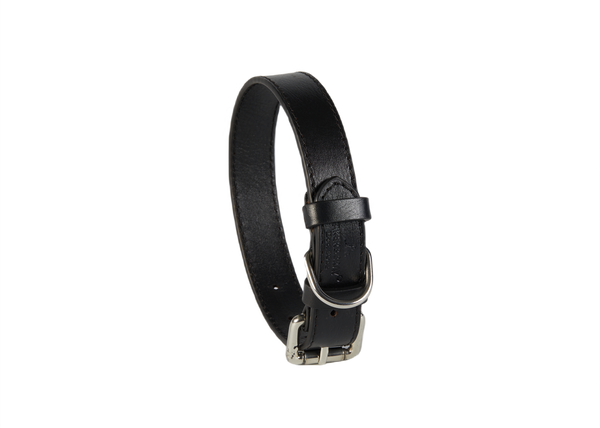 Eco Friendly Leather Dog Collar, Black