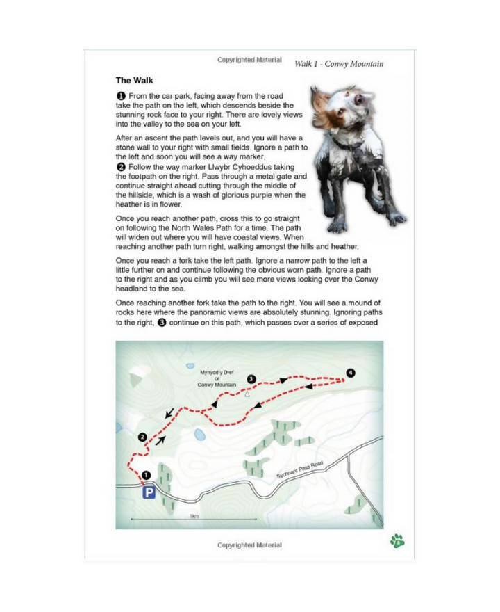 walk-example-page-2