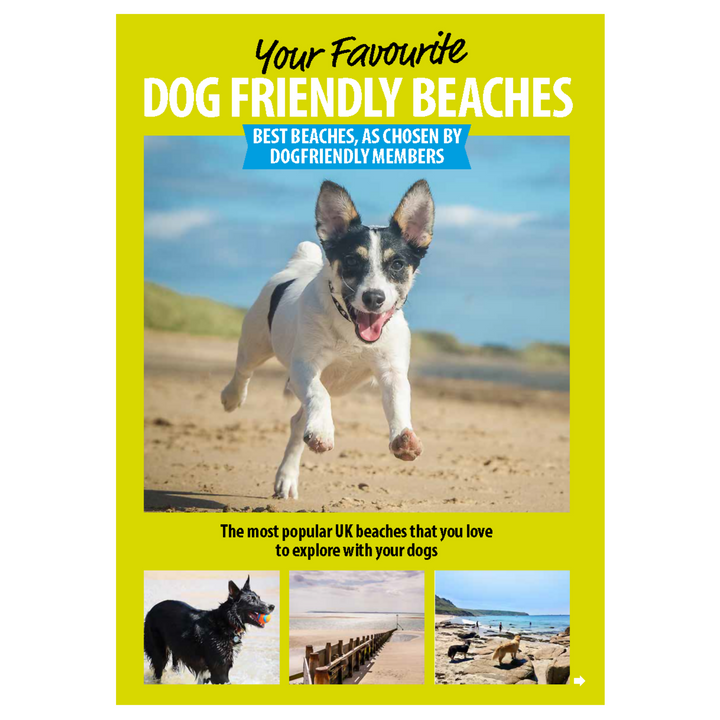 Dog Friendly Beaches