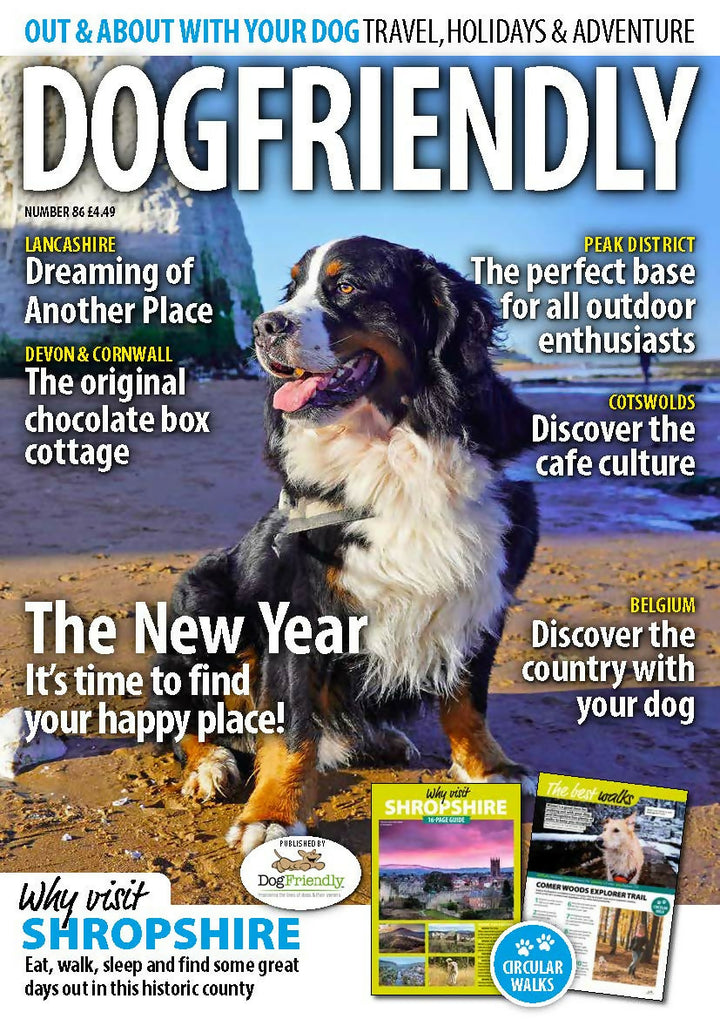 DF-jan-25-app-r