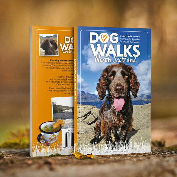 DOGWALKS-SCOTLAND-lifestyle-1080
