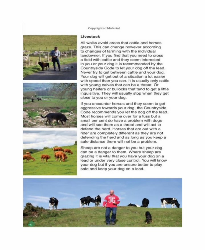 ne-wales-example-page-768x939