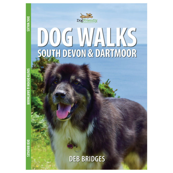 devon-book-front-cover-1080