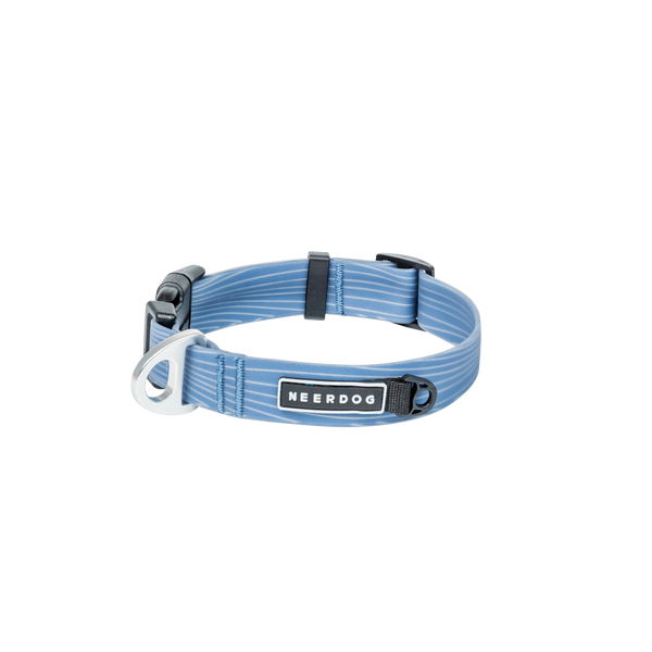 Neer Dog Blue Collar (3)