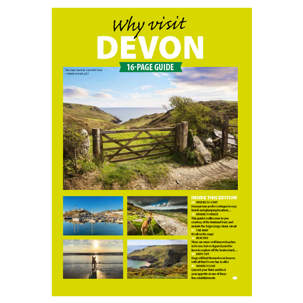 Devon