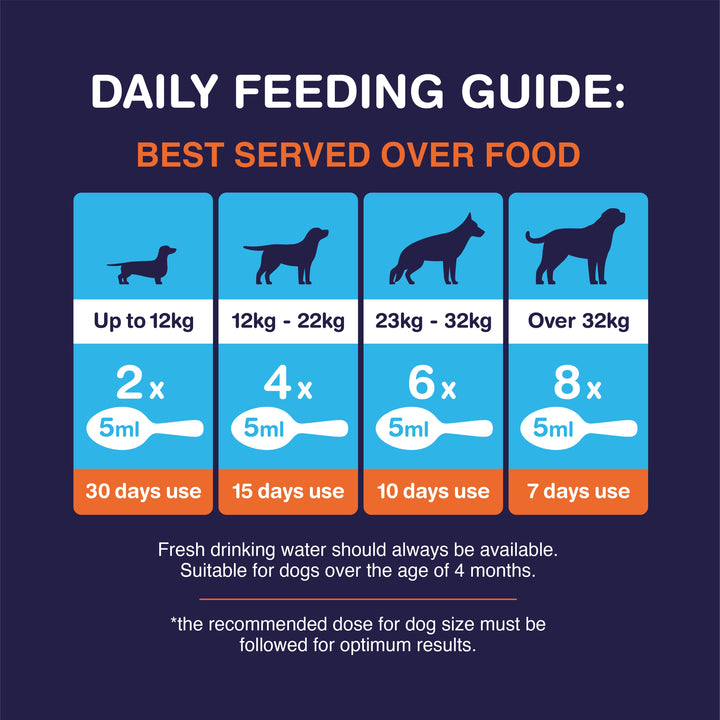 Senior Hound Dog Joint Care - feeding guide for dogs