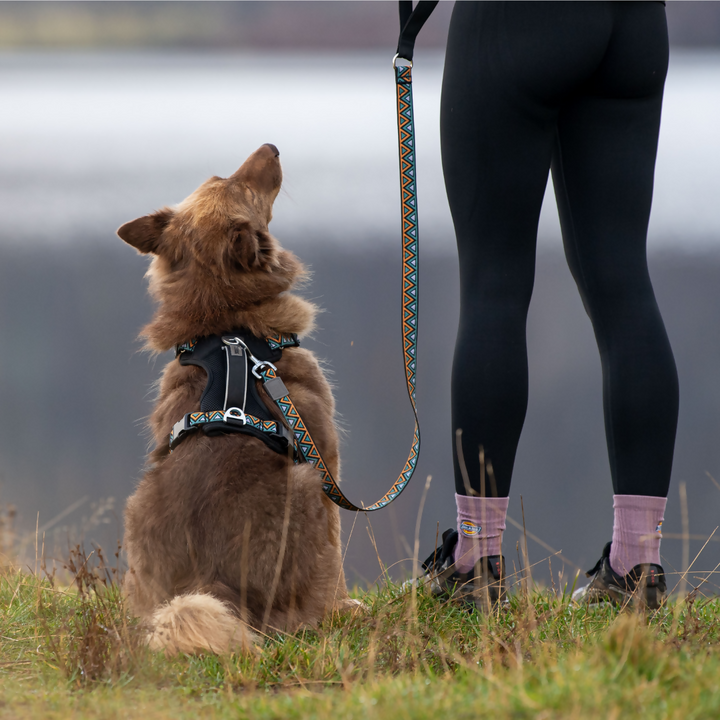 neerdog hollyhock go-b-bold airflow harness
