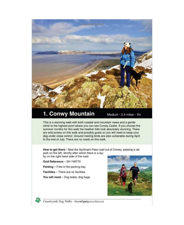 walk-example-page-1